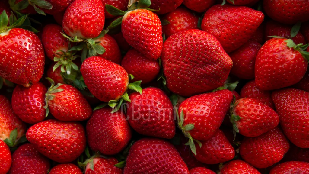 Cara Agar Strawberry Cepat Berbuah dalam Polybag